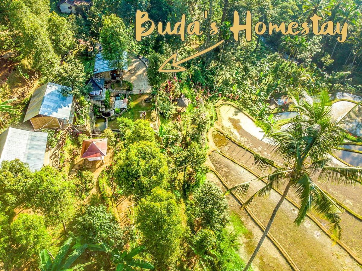Buda'S Homestay Lemukih Buleleng  Exterior photo
