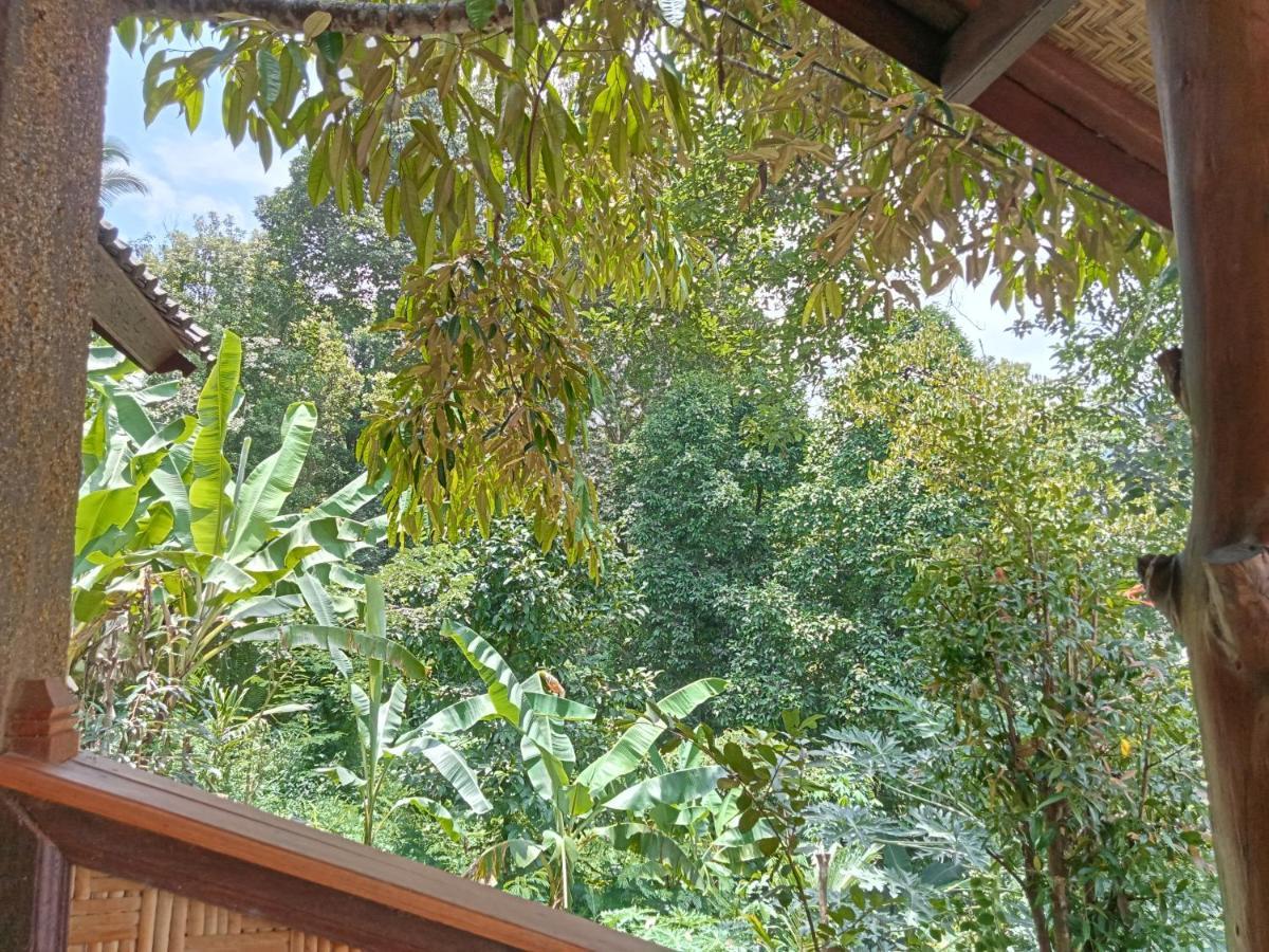 Buda'S Homestay Lemukih Buleleng  Exterior photo