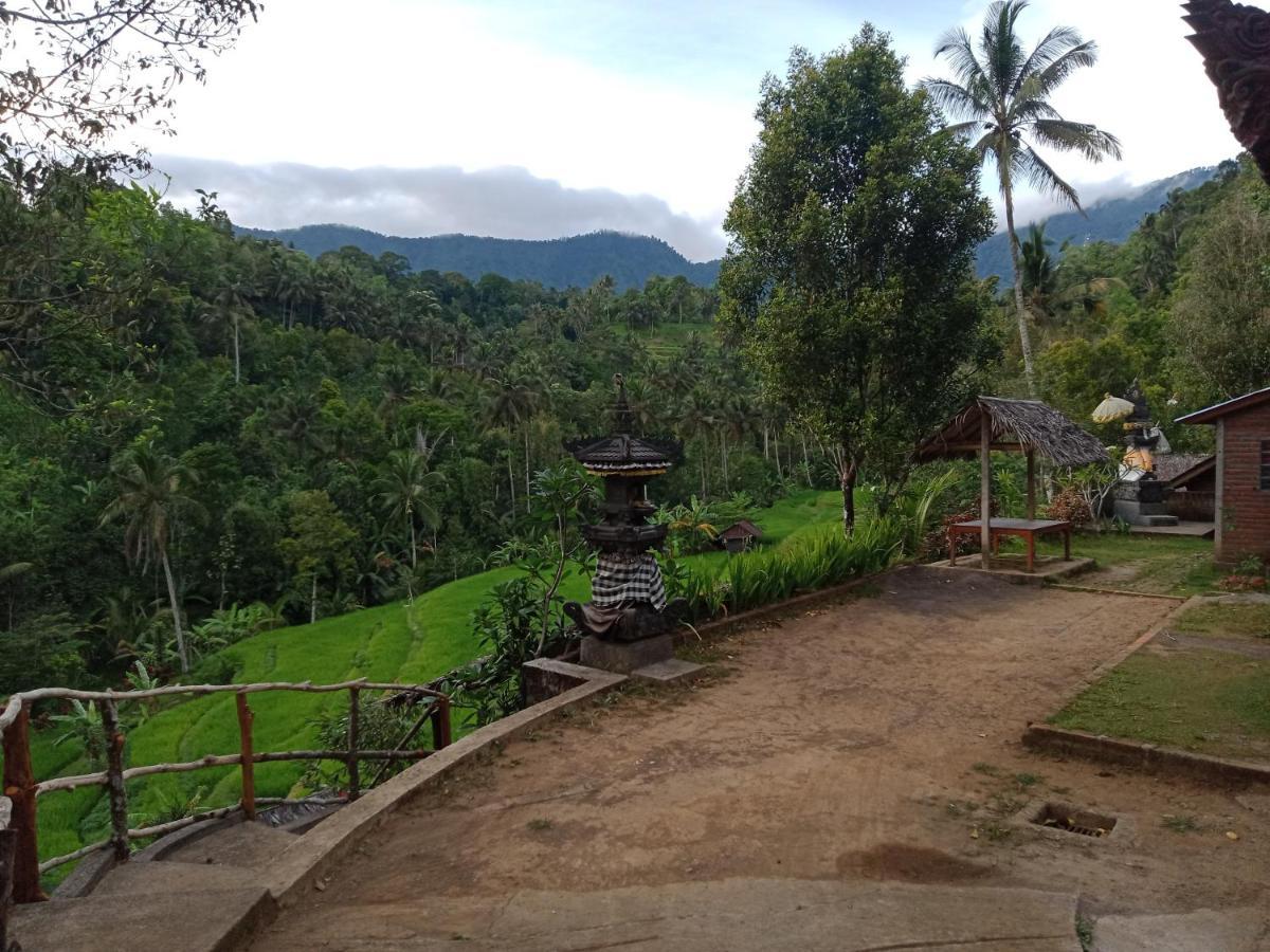 Buda'S Homestay Lemukih Buleleng  Exterior photo