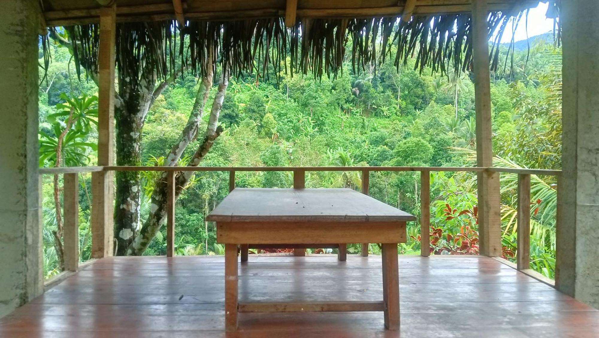 Buda'S Homestay Lemukih Buleleng  Exterior photo